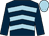 dark blue, light blue chevrons, dark blue sleeves, light blue cap