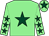 Light green, dark green star, light green sleeves, dark green stars, light green cap, dark green star