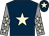 Dark blue, beige star, grey sleeves, beige stars, dark blue cap, beige star