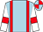 Light blue, red braces, white sleeves, red armlets, light blue and red quartered cap