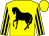 Yellow, black horse, yellow sleeves, black stripes, yellow cap,