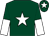 Dark green, white star, halved sleeves and star on cap