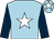 LIGHT BLUE, WHITE star, DARK BLUE sleeves, LIGHT BLUE cap, WHITE star