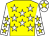 Yellow, white stars, white sleeves, yellow stars, white cap, yellow star