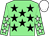 Light green, black stars, light green sleeves, white stars and cap