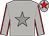 light grey, grey star, red seams on sleeves, red star on cap