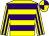 Yellow body, purple hooped, yellow arms, purple striped, yellow cap, purple quartered