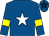 Royal blue, white star, royal blue sleeves, yellow armlets, royal blue cap, dark blue star