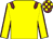 Yellow body, garnet epaulettes, yellow arms, garnet seams, garnet cap, yellow checked