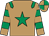 light brown, emerald green star and epaulets, light brown sleeves, emerald green hoops, quartered cap