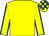 Yellow, royal blue seams on sleeves, check cap