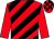 Red and black diagonal stripes, red sleeves, checked cap