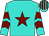 Turquoise, bright yellow star, turquoise sleeves, bright yellow chevrons, striped cap