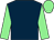 dark blue, light green sleeves and cap