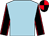 Light blue, black sleeves, red seams, red & black quartered cap