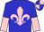Blue, pink fleur de lis, halved sleeves, quartered cap