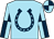 Sky blue, dark blue horseshoe, quartered sleeves and cap