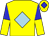 yellow, light blue diamond, blue and yellow halved sleeves, blue diamond on cap