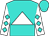 Turquoise, white triangle, white and turquoise checked diamonds sleeves, and cap