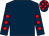 Dark blue, red spots on sleeves, check cap