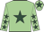 Light green, dark green star, light green sleeves, dark green stars, light green cap, dark green star