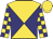 Gold and navy blue quartered diagonally, checked sleeves, gold cap