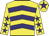 Yellow, purple chevrons, yellow sleeves, purple stars, yellow cap, purple star