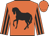 Orange, black horse, orange sleeves, black stripes, orange cap,