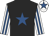 Black, royal blue star, white and royal blue striped sleeves, white cap, royal blue star