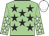 Light green, black stars, light green sleeves, white stars and cap