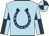 Sky blue, dark blue horseshoe, quartered sleeves and cap