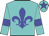 Turquoise, blue fleur de lys, turquoise sleeves, blue armlet, turquoise cap, blue star