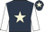Dark blue, beige star, white sleeves, dark blue cap, beige star