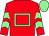 Red, light green hollow box, light green chevrons on sleeves, light green cap