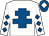 WHITE, royal blue cross of lorraine, diamonds on sleeves, royal blue cap, white diamond