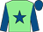 Light green, royal blue star & sleeves, royal blue cap
