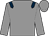 Grey, dark blue epaulets