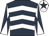 Dark blue & white chevrons, white sleeves, dark blue diabolo, white cap, dark blue star