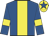 Royal blue, yellow panel, yellow armlet, yellow cap, royal blue star