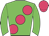 Big-green body, rose large spots, big-green arms, rose cap