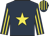 Dark blue, yellow star, striped sleeves and cap