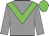 Grey body, green chevron, grey arms, green cap