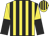 Yellow and black stripes, halved sleeves