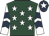 Dark green, white stars, white sleeves, dark blue chevrons, dark blue cap, white star