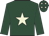 Dark green, beige star and stars on cap