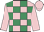 Pink and emerald green check, pink sleeves and cap
