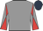 Grey, grey and red diabolo on sleeves, dark blue cap