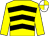 Yellow & black chevrons, yellow sleeves, yellow & white quartered cap