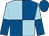 Light blue and royal blue quartered, light blue and royal blue halved sleeves, royal blue cap