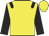 Yellow body, black epaulettes, black arms, yellow cap